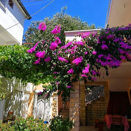 Apartmani Leon Biograd Na Moru Exterior foto