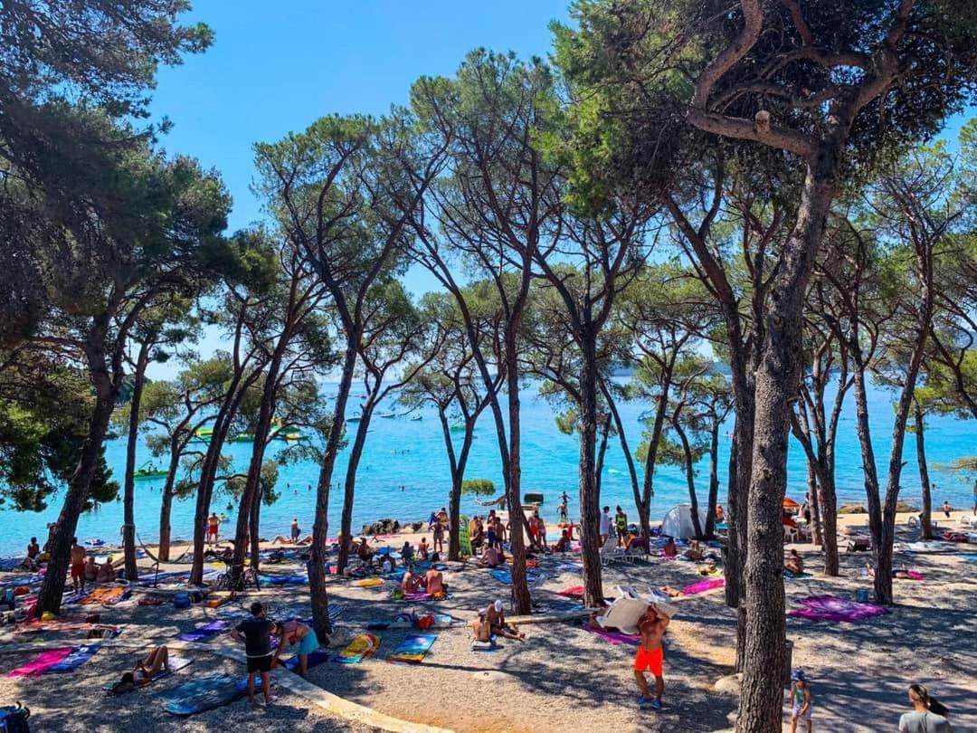 Apartmani Leon Biograd Na Moru Exterior foto